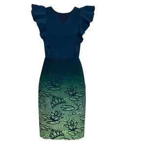 Disney Parks Dress Shop The Princess and the Frog Tiana Dress 2X